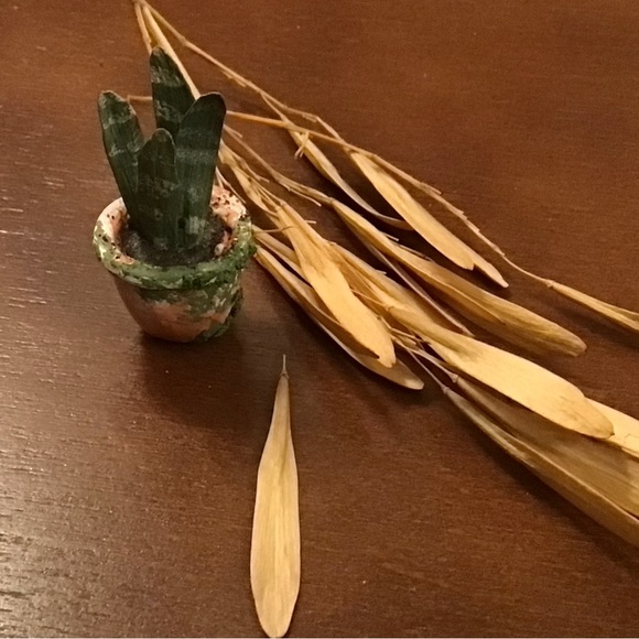 Meet your Posher, Cj - Picture 10 of 16